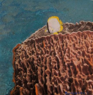 Butterfly Fish Yellow, 8" x8"